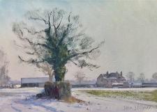 Bright winter light, Perrotts Farm, Banstead  -  7x10