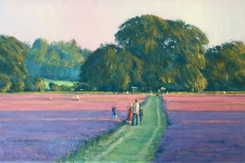 Evening at the lavender fields  -  20x30