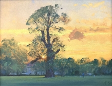 Summer evening, Carshalton Park  -  8x10