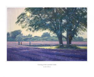 Evening at the Lavender Fields 20 x 30 cm