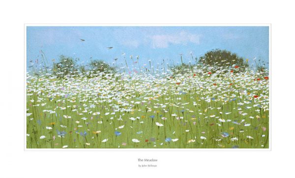The Meadow 18cm x 36cm