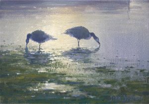 Canada's feeding 7x10