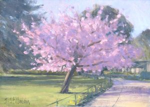 Easter blossom, Carshalton 5x7