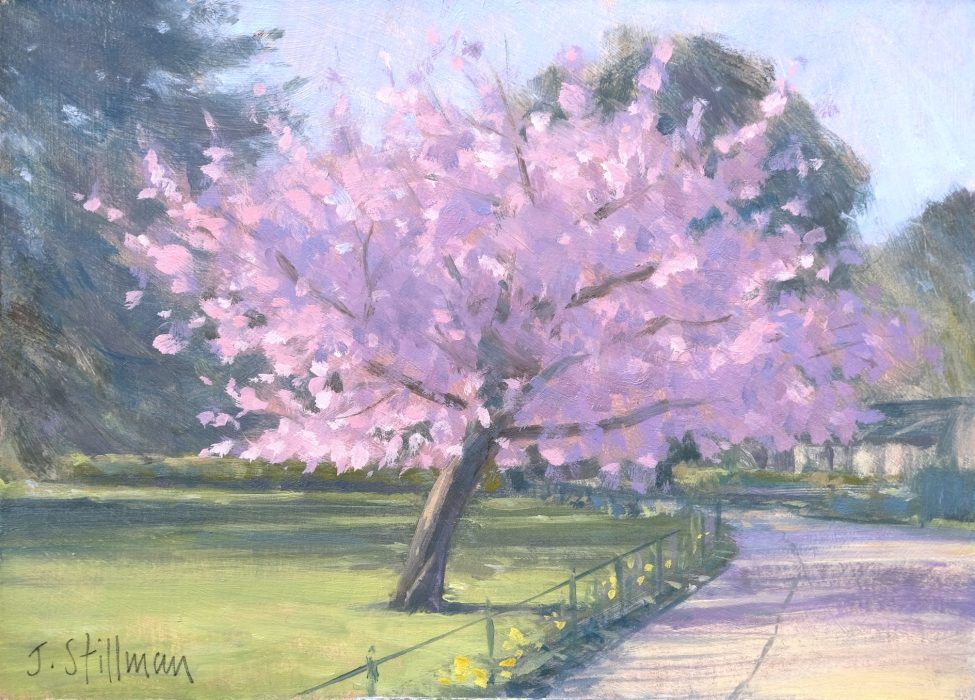 Easter blossom, Carshalton 5x7