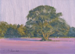 Lavender light, Woodmansterne 5x7