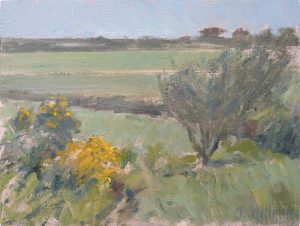 Gorse, Tregardock, Cornwall 6x8